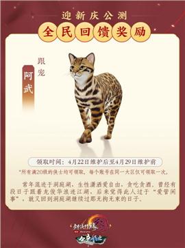 天龙八部私服卓